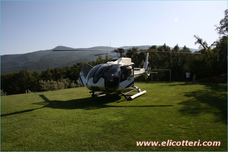 elifoto (209)